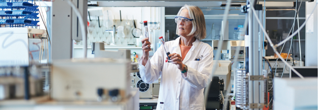 1495591781994782AaF2.png 1495591781994782AaF2.png