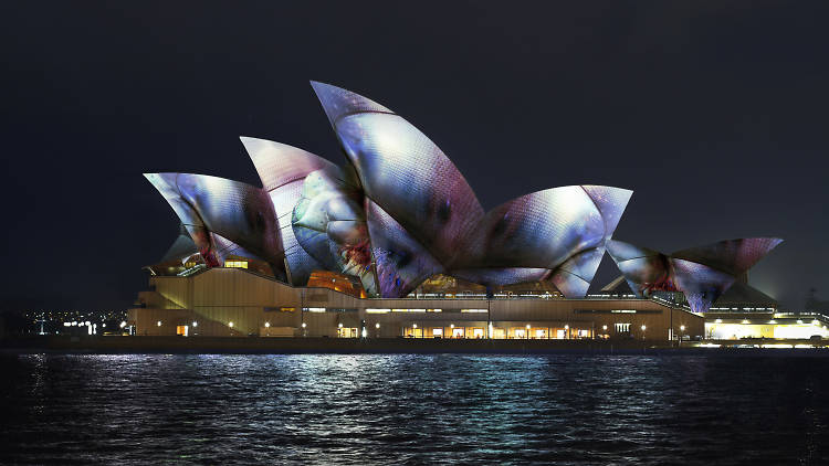 1497345837550296xAbP.jpg image (7).jpg