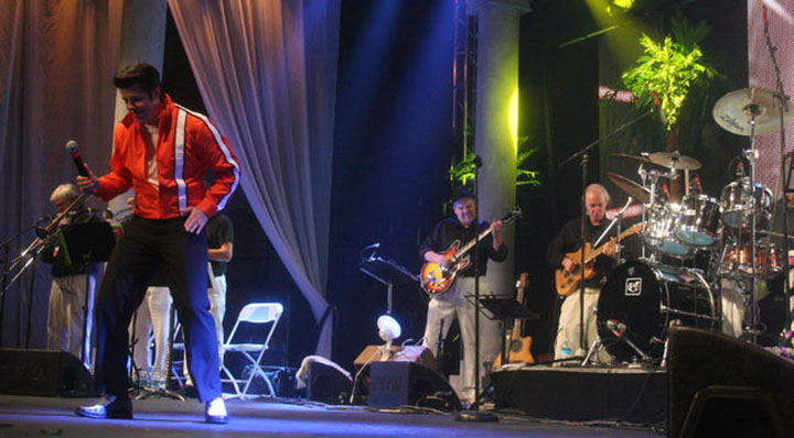 1500540258808388YbNI.jpg 猫王模仿秀.jpg