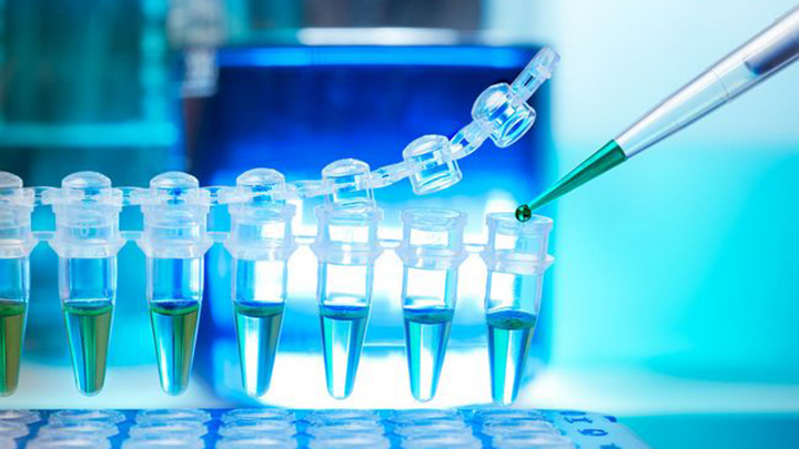 1503653016572273zc7z.jpg 全球糖尿病与内分泌专家会议.jpg