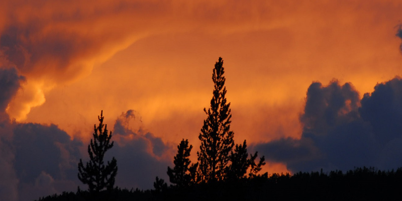 1508402279318835R5Py.png https_//cdn.evbuc.com/images/36709421/201886231964/1/original.png