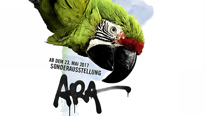 柏林金刚鹦鹉特展 .jpg