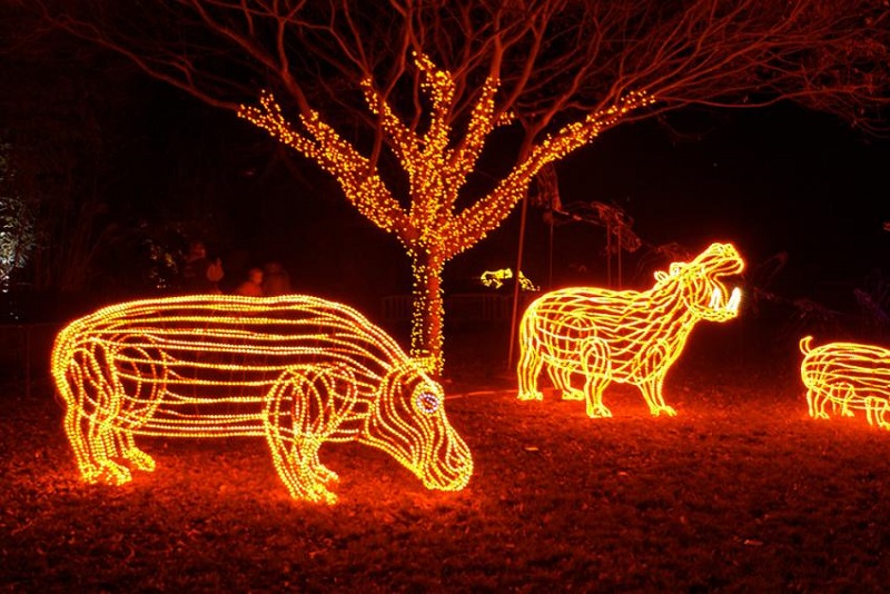 1514269804441897WTnX.jpg H_hippos-zoolights.jpg