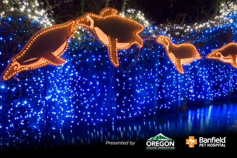 1514269867464263VTho.jpg H_ZooLights-penguins-2015_0.jpg