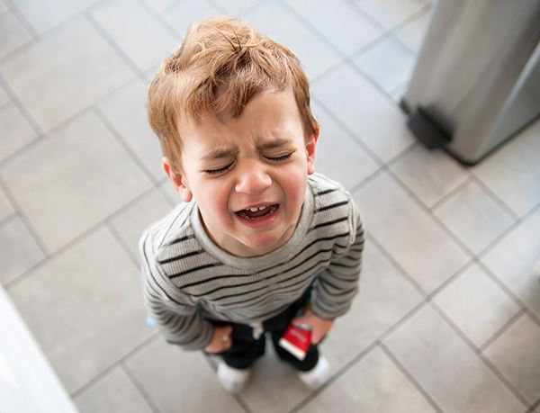 1514365442675239gFig.jpg timg.jpg