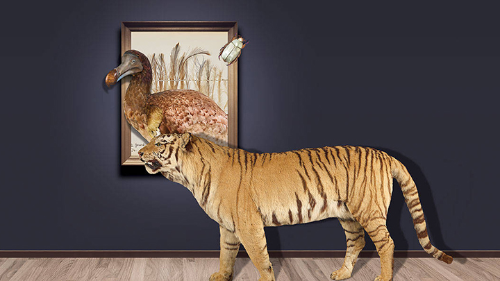 自然界宝藏展览.jpg
