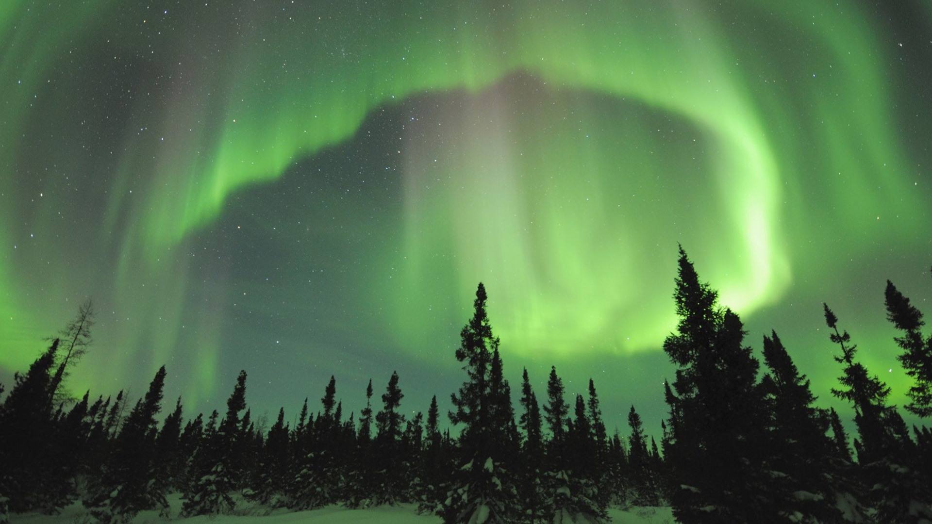 1514878909928911m5yL.jpg 7.jpg