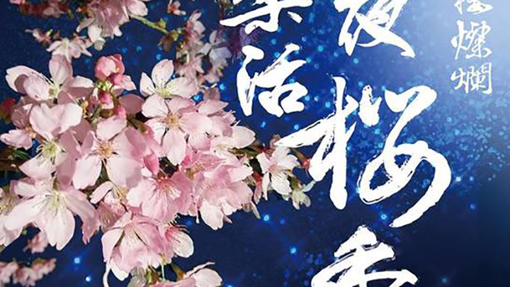 2018 內湖樂活夜櫻季.jpg