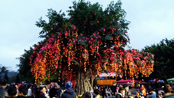香港许愿节.jpg