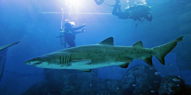 1522309677789684FQ3i.jpg image21.jpg