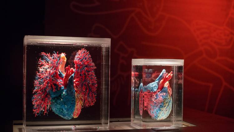 15223942724305530Hmf.jpg image (9).jpg