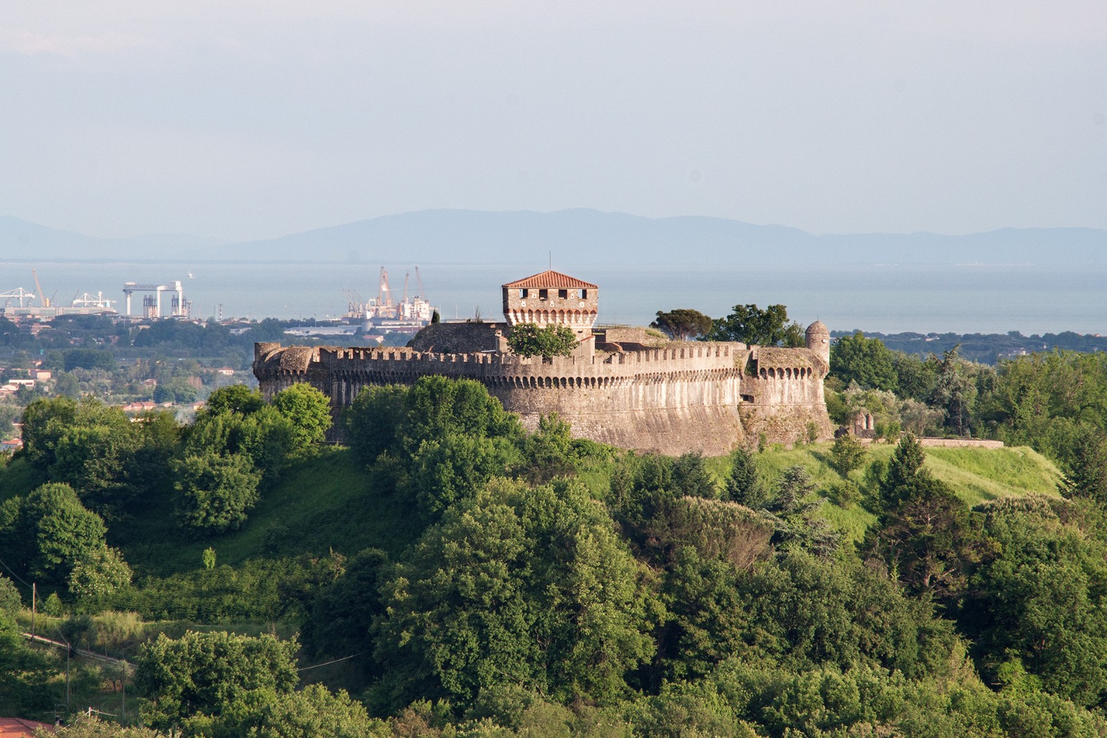 1527903082991374Ute0.jpg 4.jpg