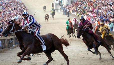 1531381500127661VlEs.jpg timg (18).jpg