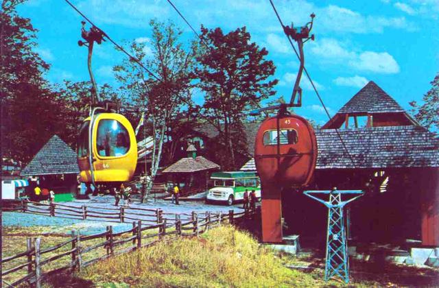 15313868841256154AhN.jpg 12.jpg