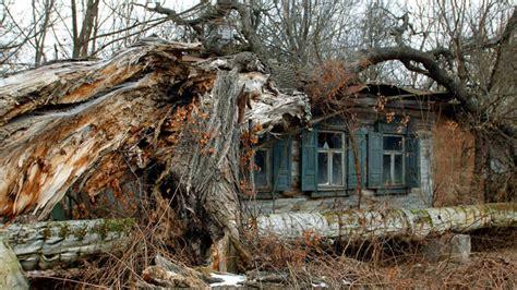 1531386913604911sh3o.jpg 21.jpg