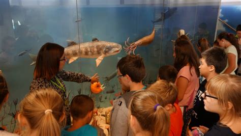 1532426790548469VOQn.jpg 地质公园.jpg