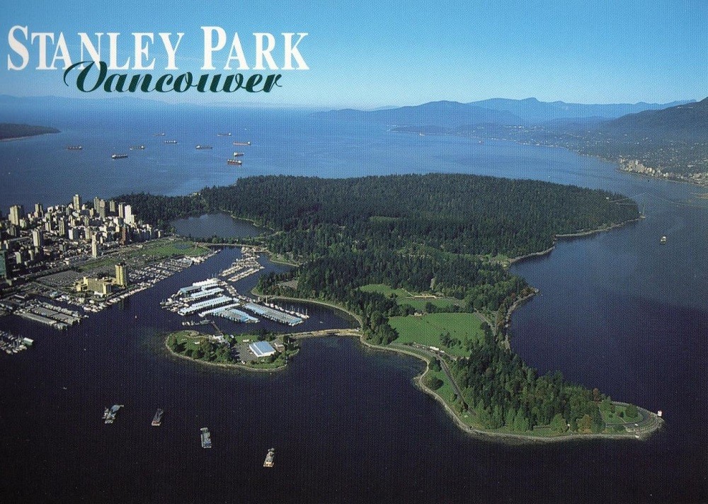 1533087860514114zJuY.jpg src_40746642.jpg