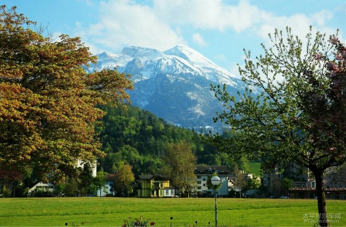 1534236555528266pspq.jpg 绿地.jpg