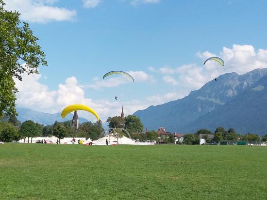 1534236586838633Ix9x.jpg 绿地3.jpg