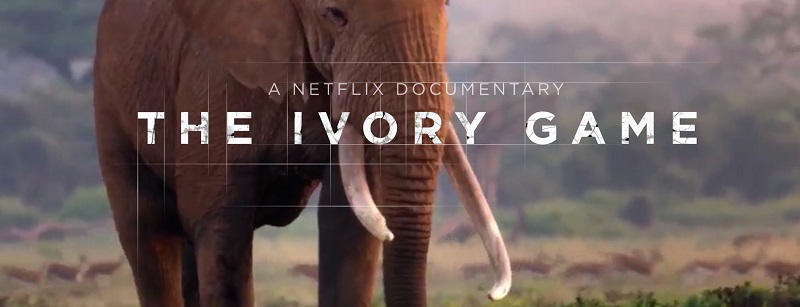 theivorygame.jpg