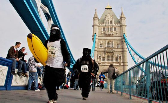gorilla-run-e1503249056772.jpg
