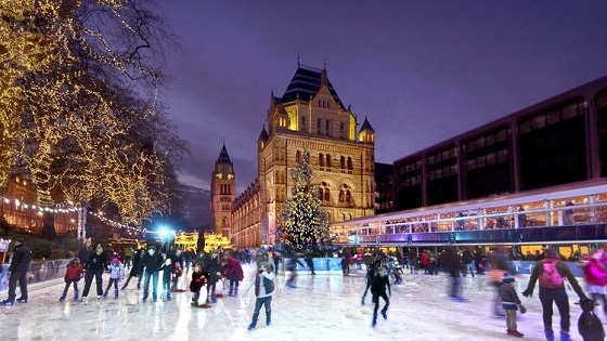 historical-and-natural-museum-skate.jpg