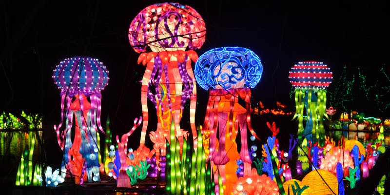 lantern-fest.jpg