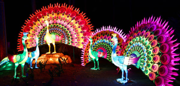 1576480918795406Xcp0.png 1575434021659044251_a3ce544ce7134544b55adcdc265b05f8_ad2c1daccac24ccfbc60d533bbfc57cd_1.png